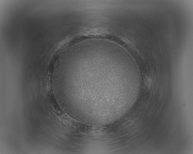 X0000067851350200604201257