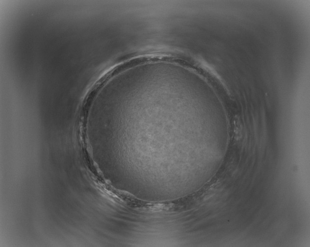 X0000067851352200604201257