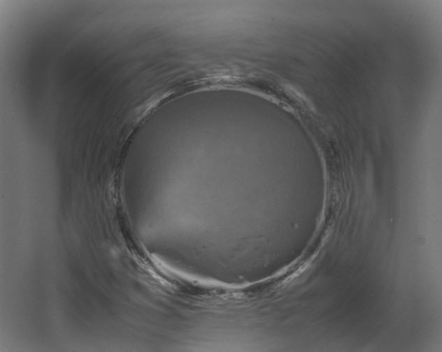 X0000067851353200604201256