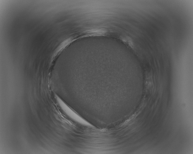 X0000067851354200604201256
