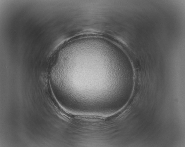 X0000067851355200604201256