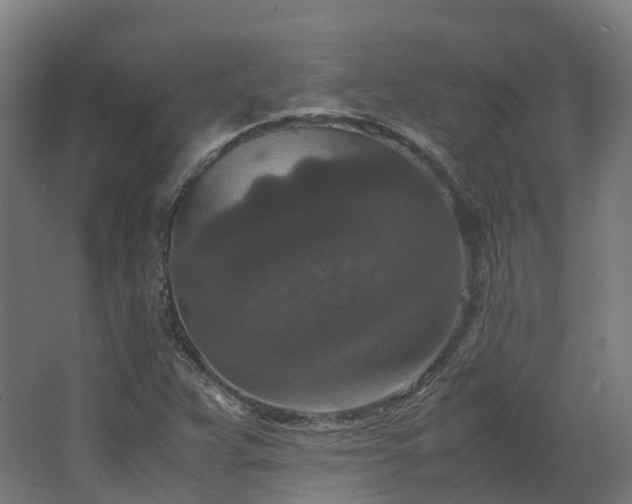 X0000067851359200604201256