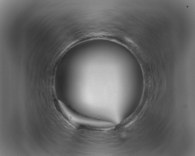 X0000067851361200604201256