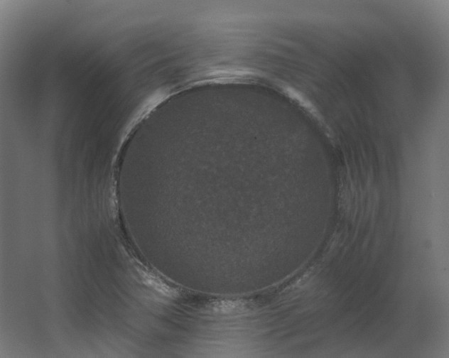X0000067851362200604201256