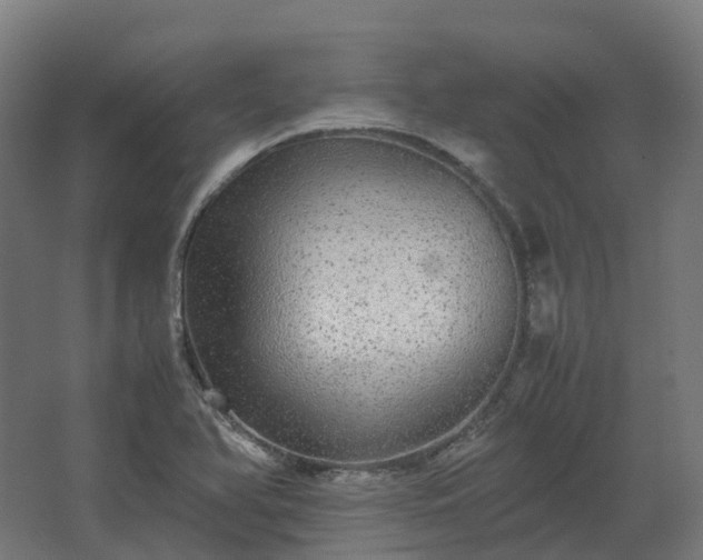 X0000067851366200604201256