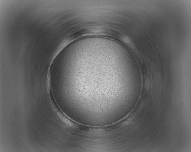 X0000067851370200604201256