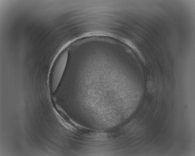 X0000067851372200604201256