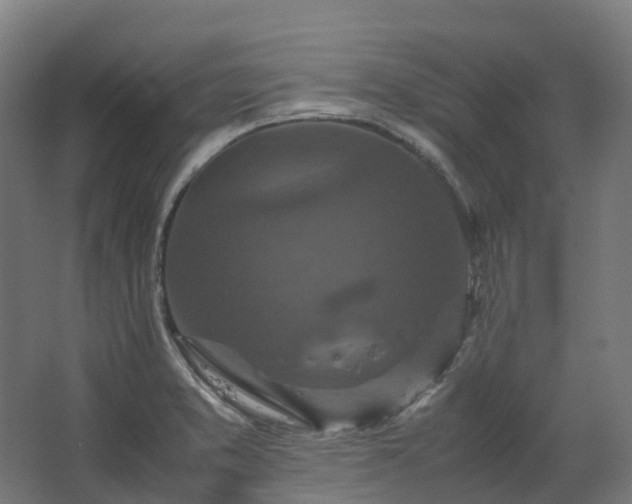 X0000067851373200604201256
