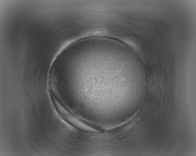 X0000067851374200604201256