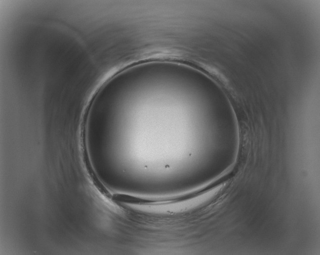 X0000067851375200604201256