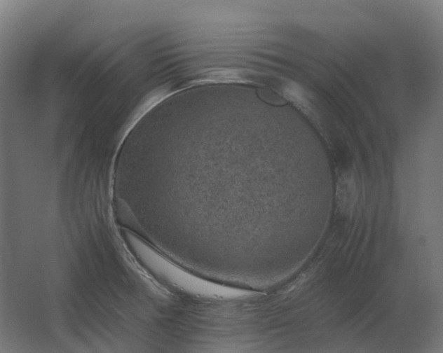 X0000067851378200604201256