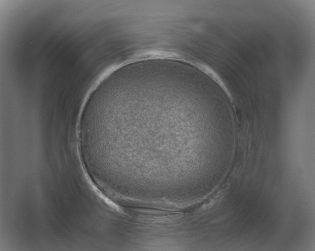 X0000067851381200604201256