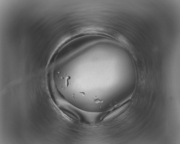 X0000067851384200604201256