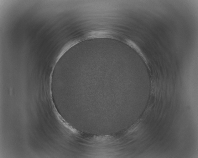 X0000067851386200604201256