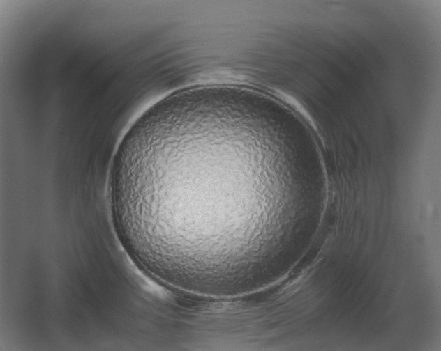 X0000067851387200604201256