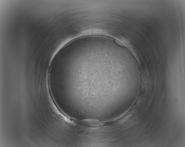 X0000067851390200604201256