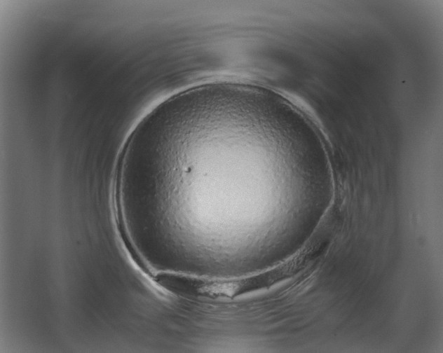 X0000067851391200604201256