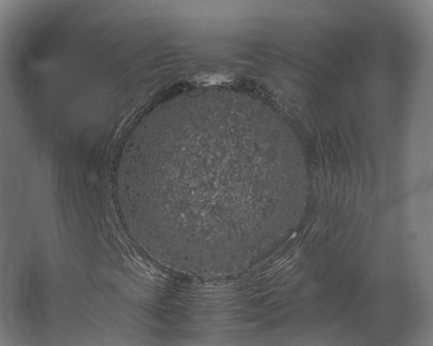 X0000067851393200604201255