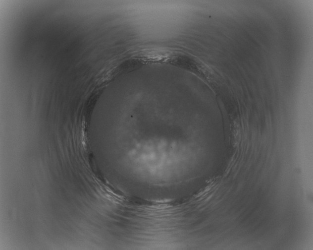 X0000067851394200604201255