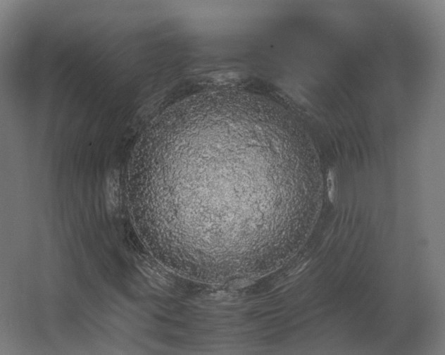 X0000067851395200604201255