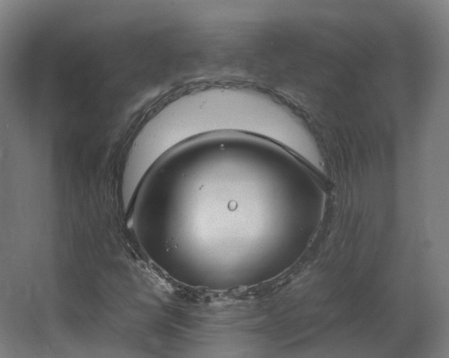 X0000067851398200604201255