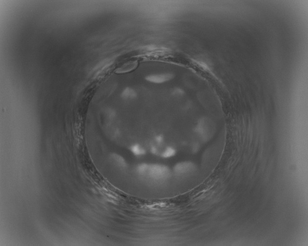X0000067851399200604201255