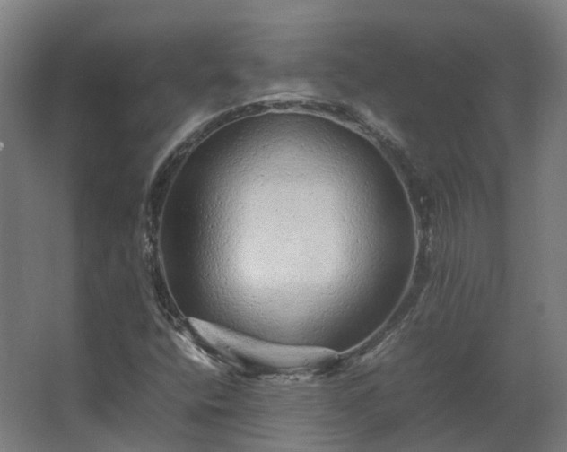 X0000067851400200604201255