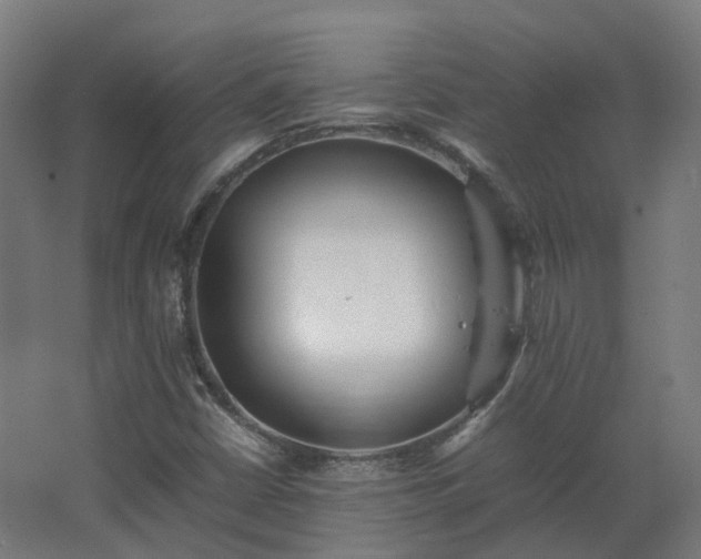 X0000067851402200604201255