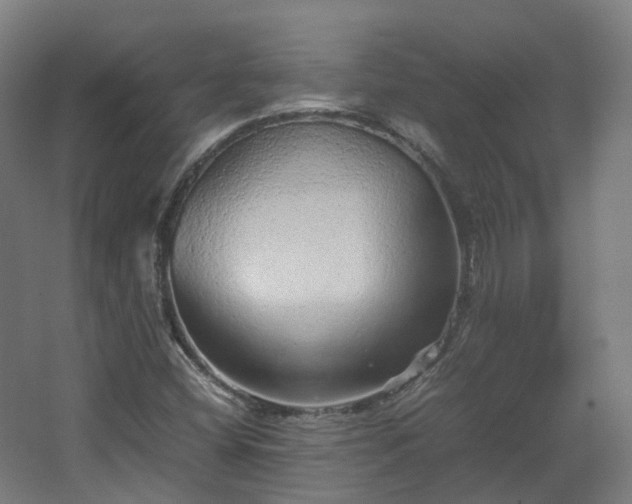 X0000067851404200604201255