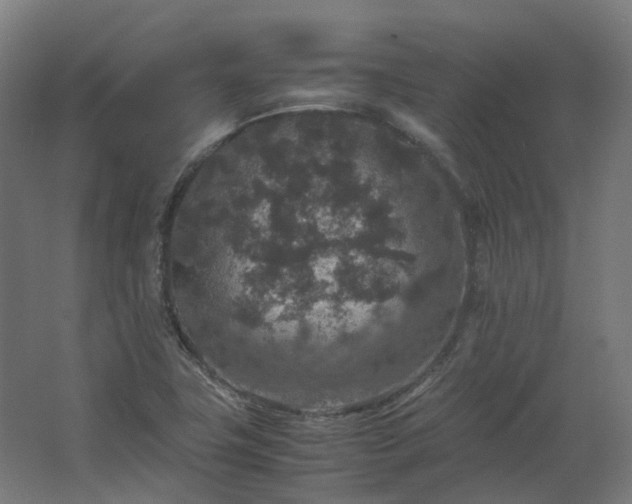 X0000067851411200604201255