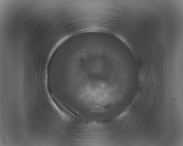 X0000067851418200604201255