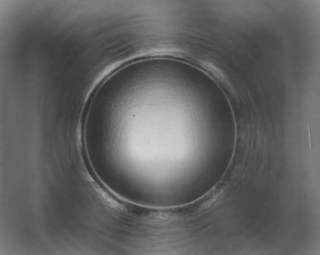 X0000067851420200604201255