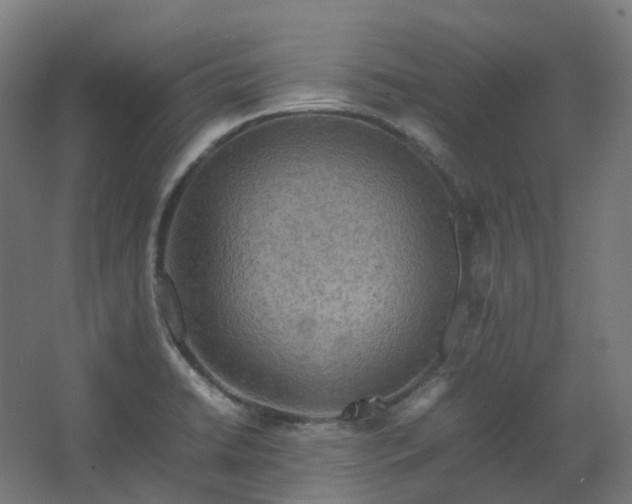 X0000067851422200604201256