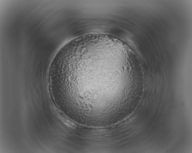 X0000067851435200604201256