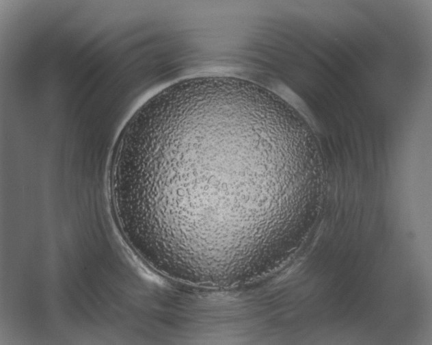 X0000067851436200604201256