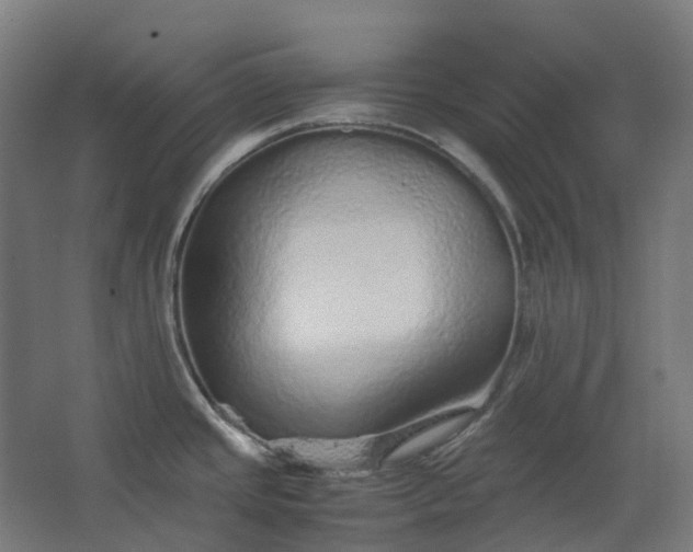 X0000067851437200604201256