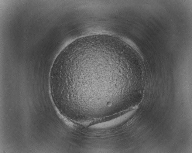 X0000067851439200604201256