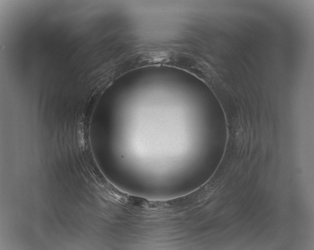 X0000067851442200604201255