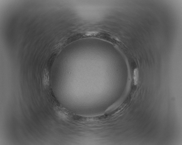 X0000067851443200604201255
