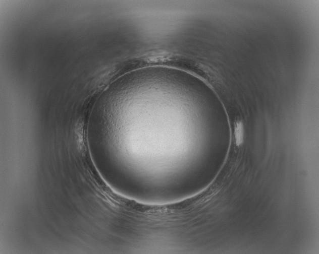 X0000067851444200604201255