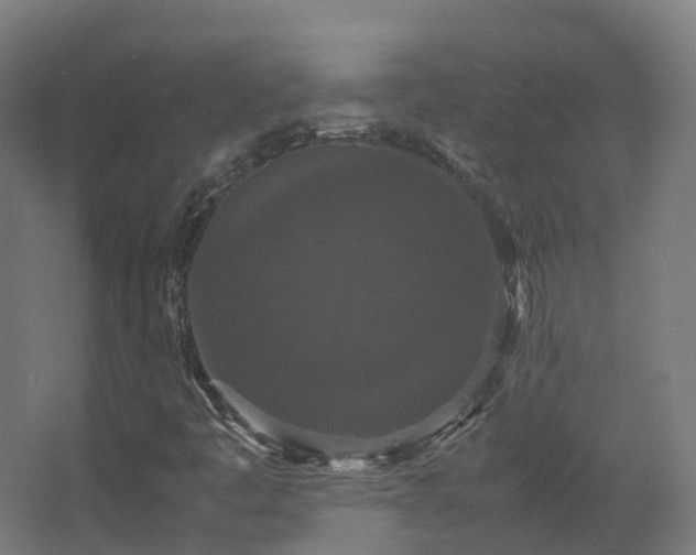 X0000067851445200604201255