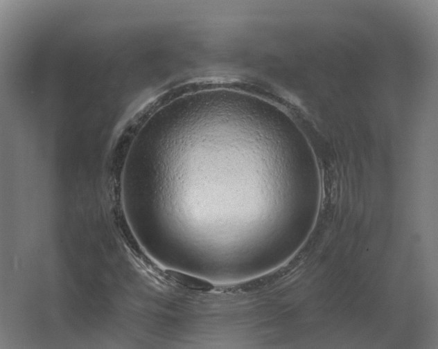 X0000067851448200604201255