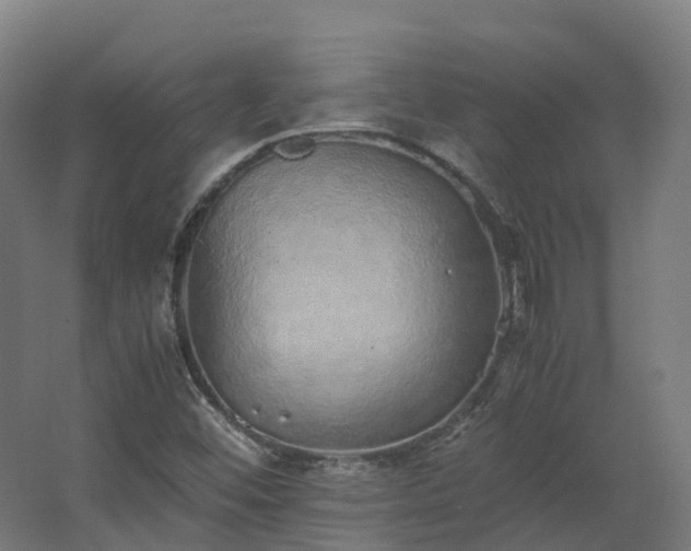 X0000067851452200604201255