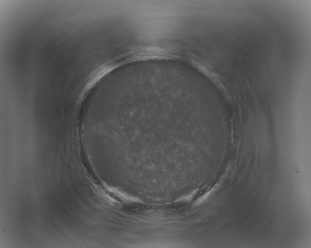 X0000067851453200604201255