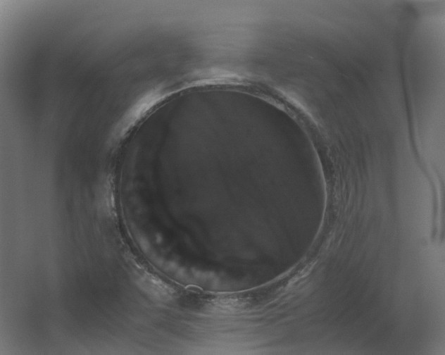 X0000067851455200604201255