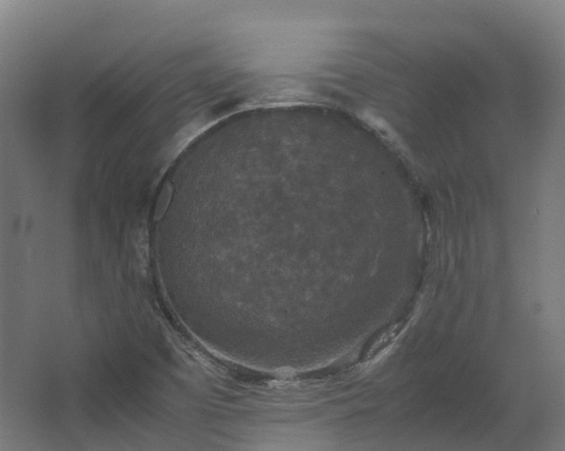 X0000067851457200604201255