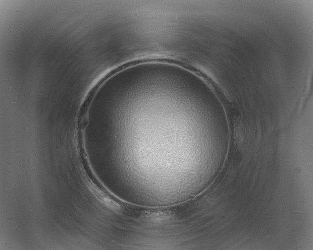 X0000067851460200604201255