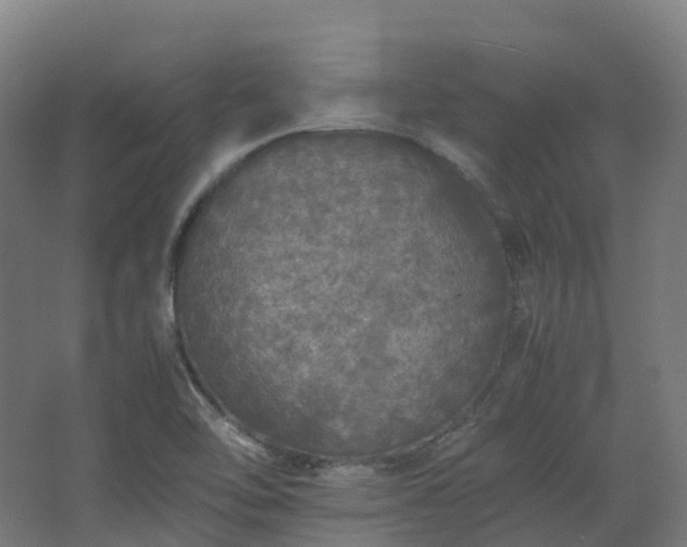 X0000067851462200604201255