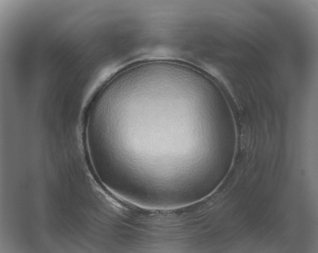 X0000067851464200604201255