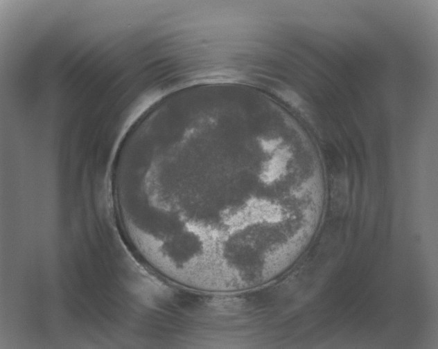 X0000067851466200604201255